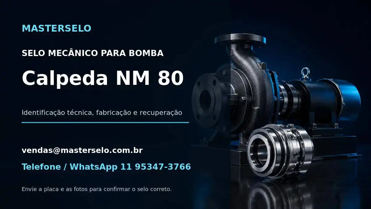 Imagem do modelo de bomba Calpeda NM 80 usada na identificação do selo mecânico