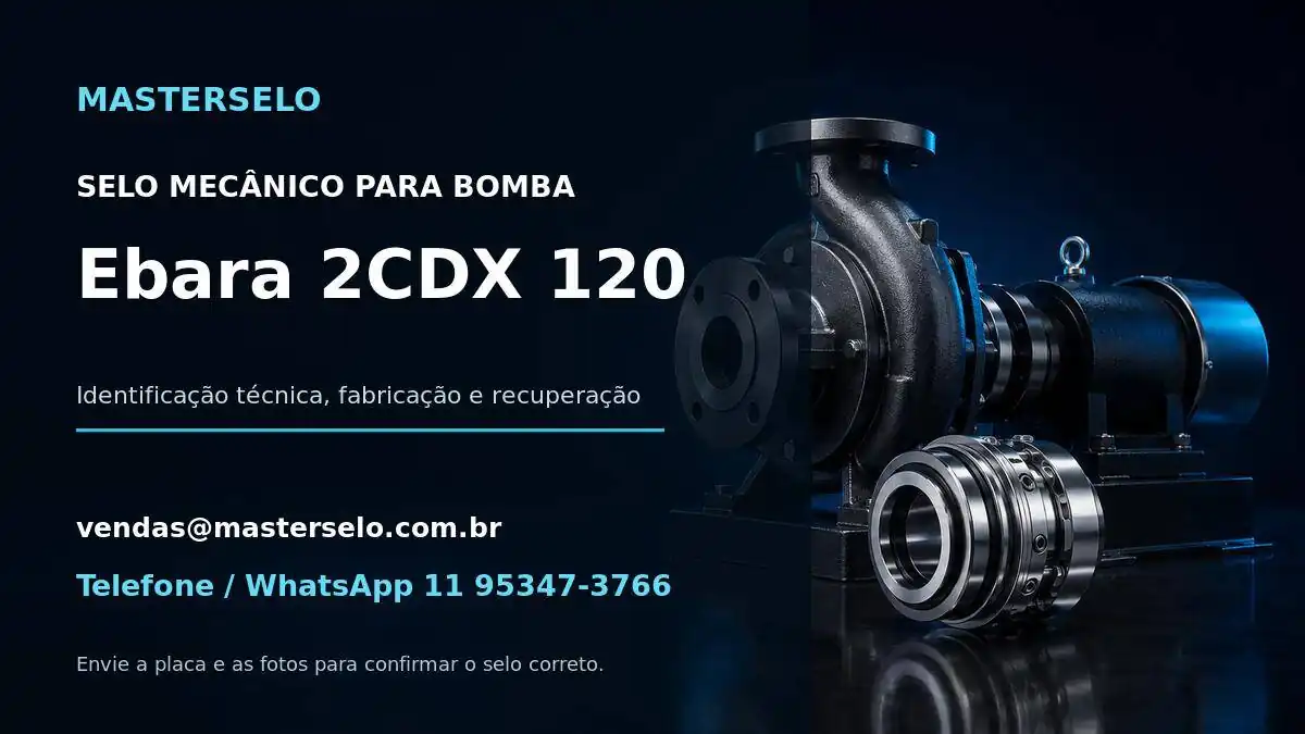 Imagem do modelo de bomba Ebara 2CDX 120 usada na identificação do selo mecânico