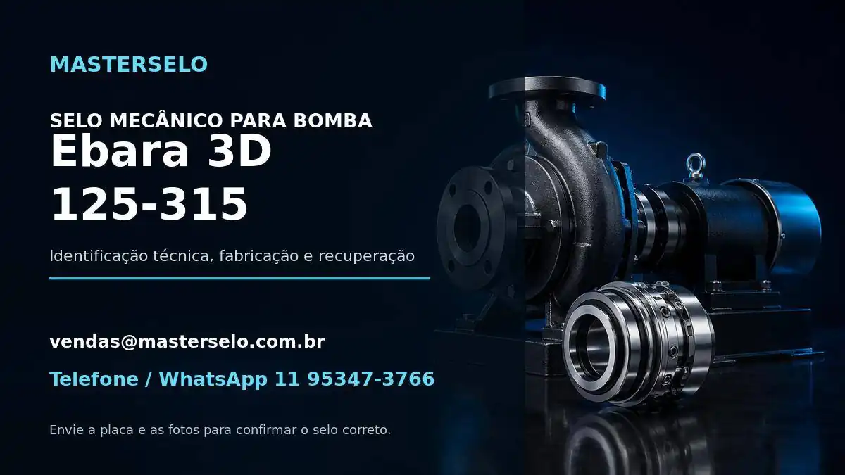Imagem do modelo de bomba Ebara 3D 125-315 usada na identificação do selo mecânico