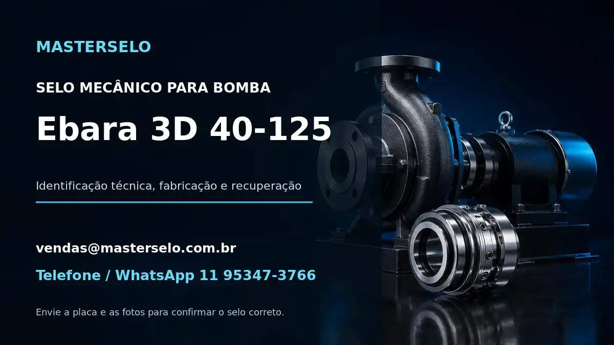 Imagem do modelo de bomba Ebara 3D 40-125 usada na identificação do selo mecânico