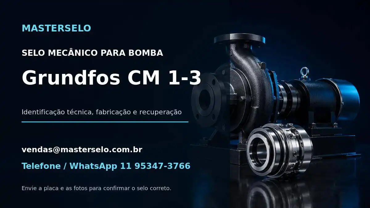 Imagem do modelo de bomba Grundfos CM 1-3 usada na identificação do selo mecânico