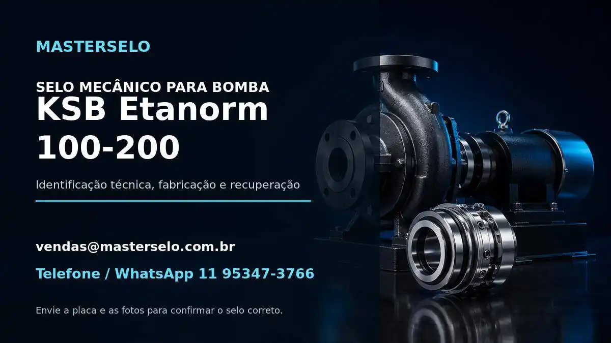 Imagem do modelo de bomba KSB Etanorm 100-200 usada na identificação do selo mecânico