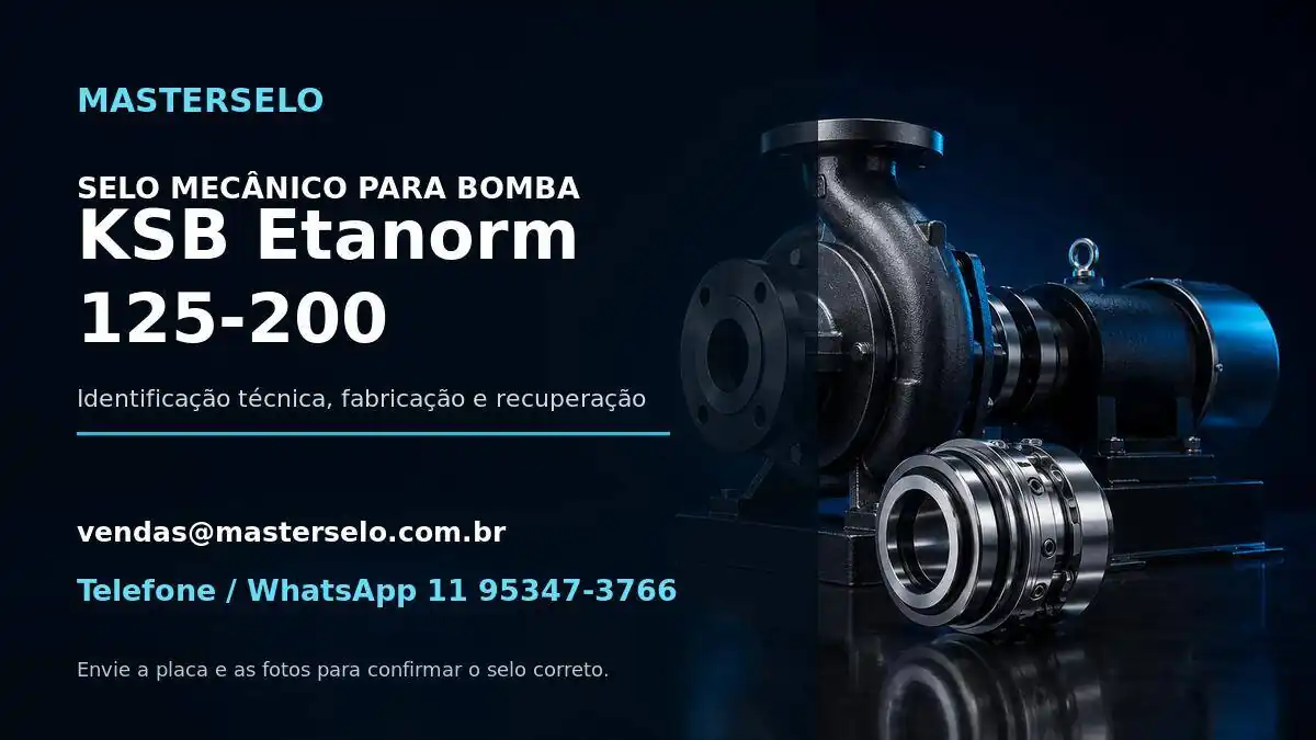 Imagem do modelo de bomba KSB Etanorm 125-200 usada na identificação do selo mecânico