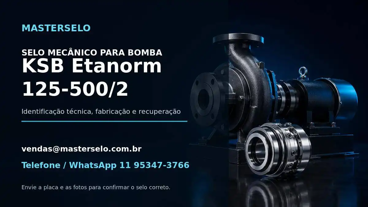 Imagem do modelo de bomba KSB Etanorm 125-500/2 usada na identificação do selo mecânico
