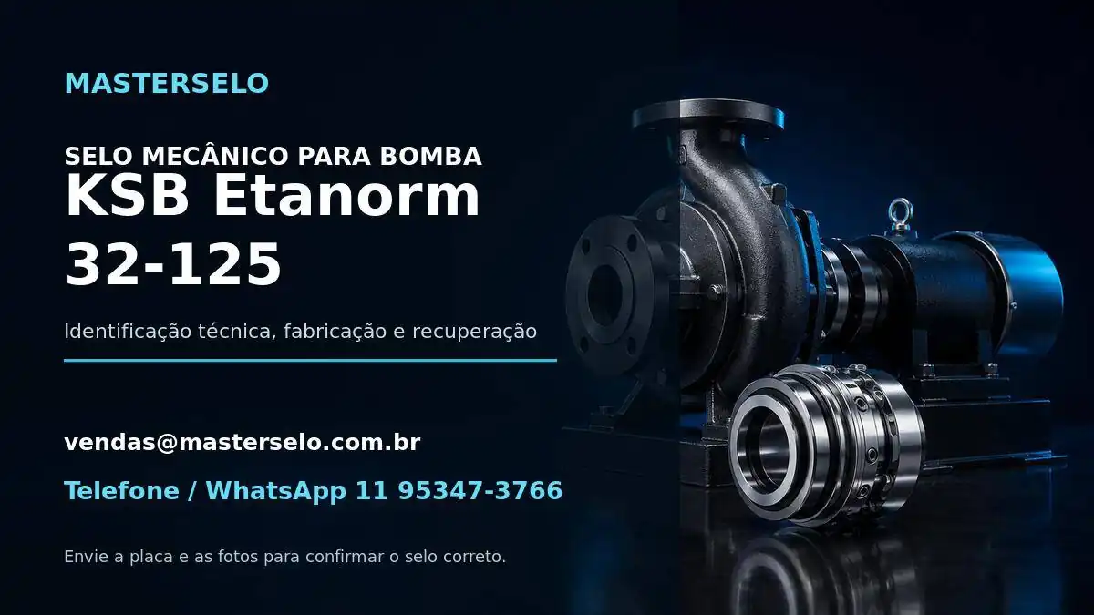 Imagem do modelo de bomba KSB Etanorm 32-125 usada na identificação do selo mecânico