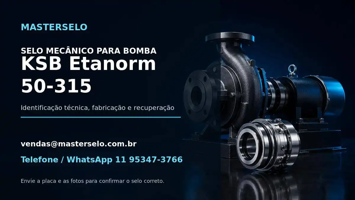 Imagem do modelo de bomba KSB Etanorm 50-315 usada na identificação do selo mecânico