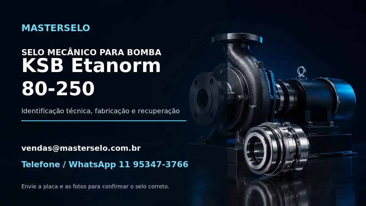 Imagem do modelo de bomba KSB Etanorm 80-250 usada na identificação do selo mecânico