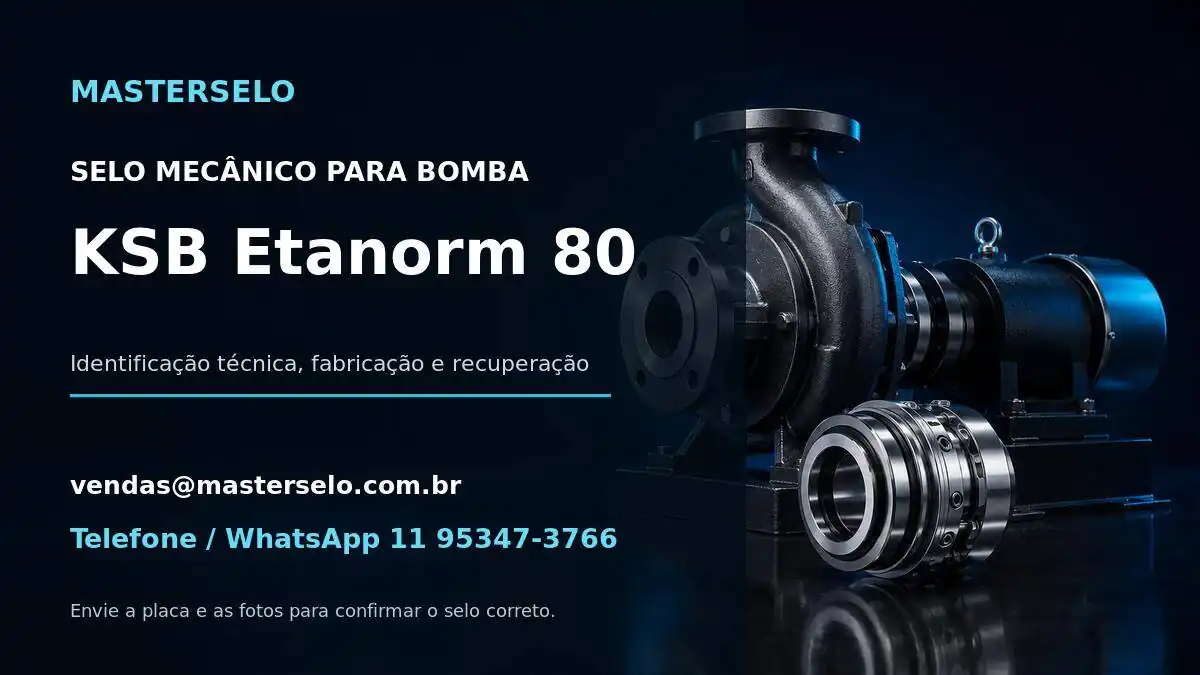 Imagem do modelo de bomba KSB Etanorm 80 usada na identificação do selo mecânico