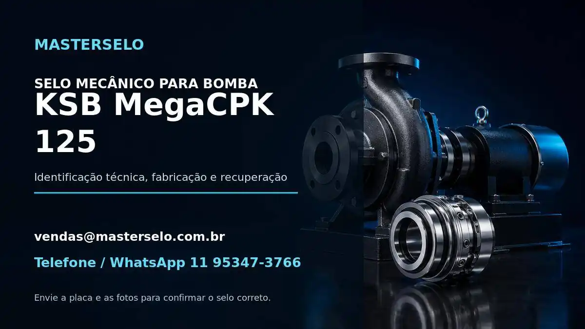 Imagem do modelo de bomba KSB MegaCPK 125 usada na identificação do selo mecânico