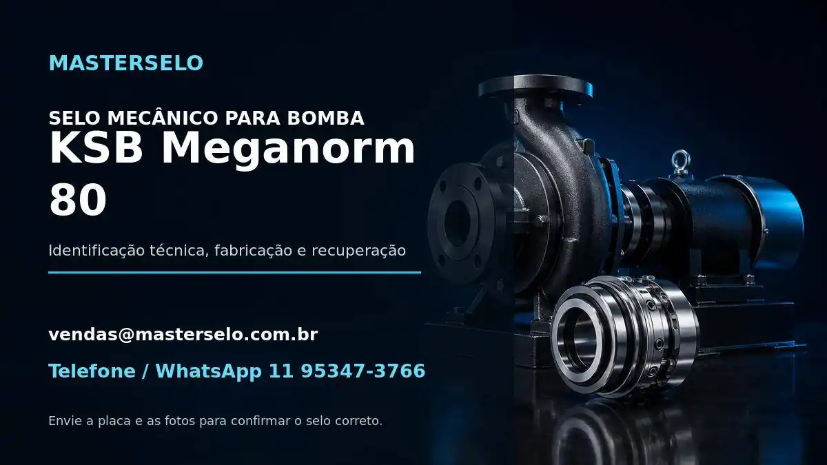 Imagem do modelo de bomba KSB Meganorm 80 usada na identificação do selo mecânico