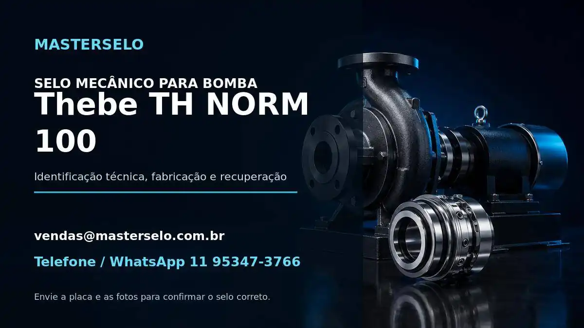 Imagem do modelo de bomba Thebe TH NORM 100 usada na identificação do selo mecânico